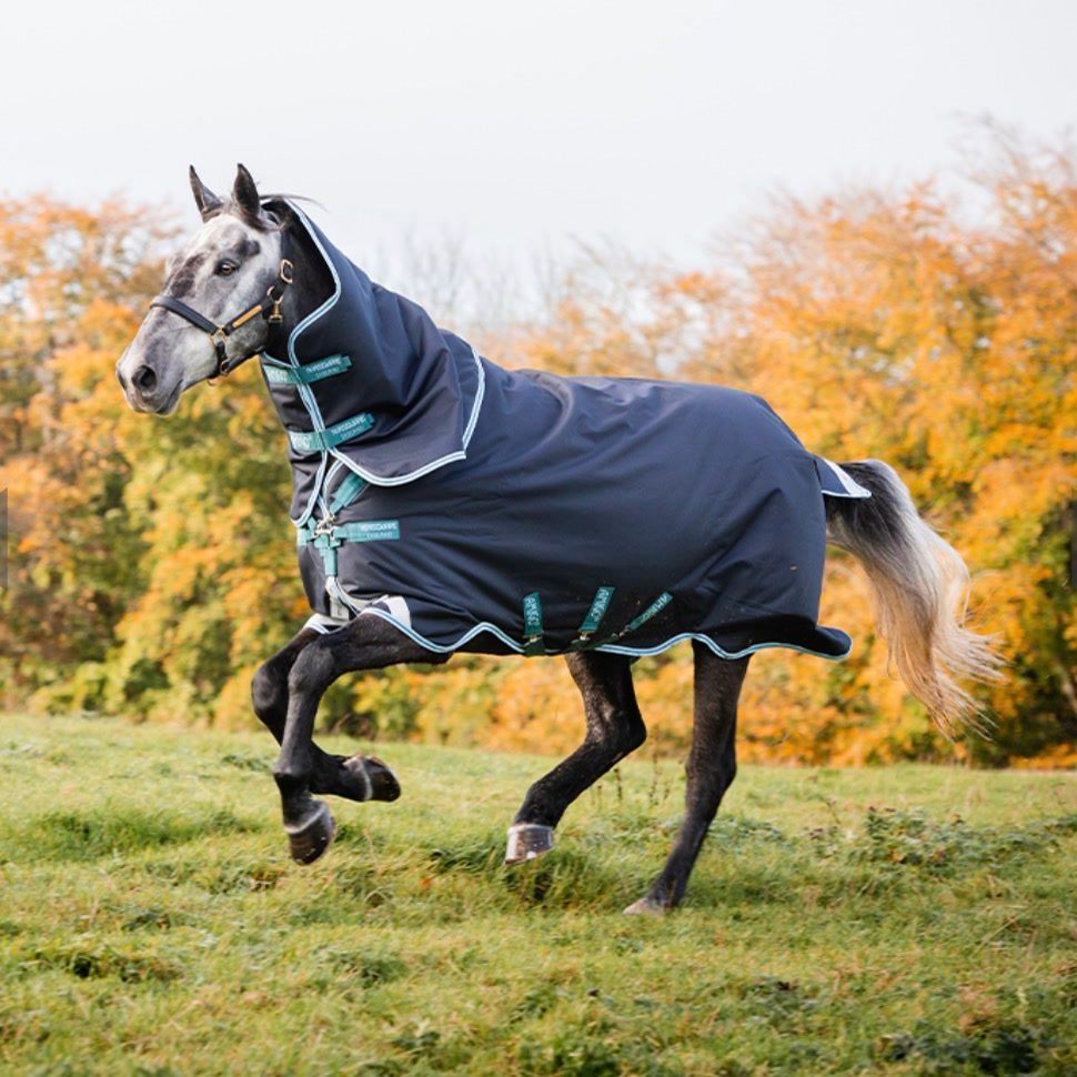 Couverture Horseware, média 2