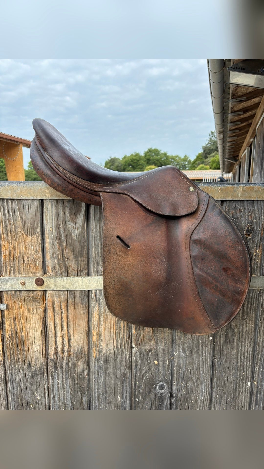 Selle Butet Saumur, média 2