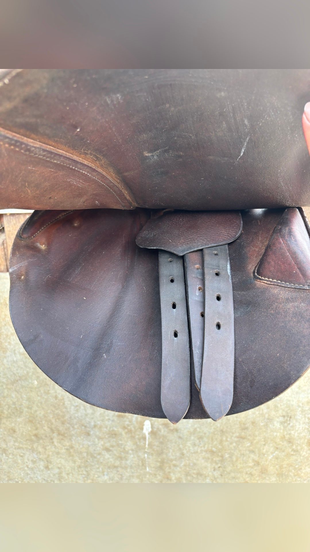 Selle Butet Saumur, média 5