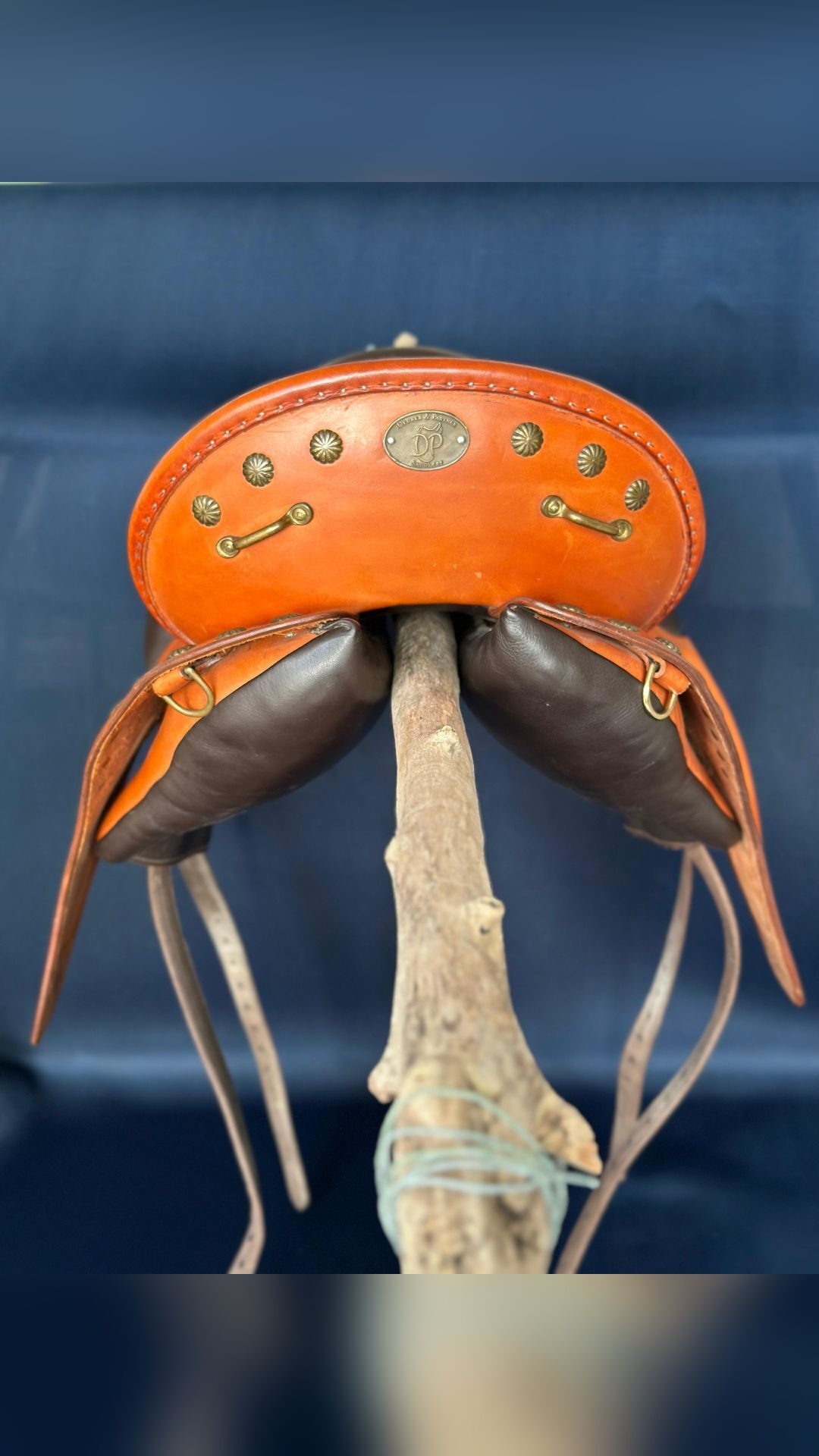 Selle randonnée, média 6