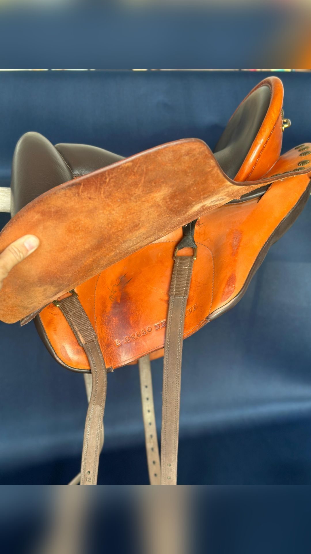 Selle randonnée, média 2