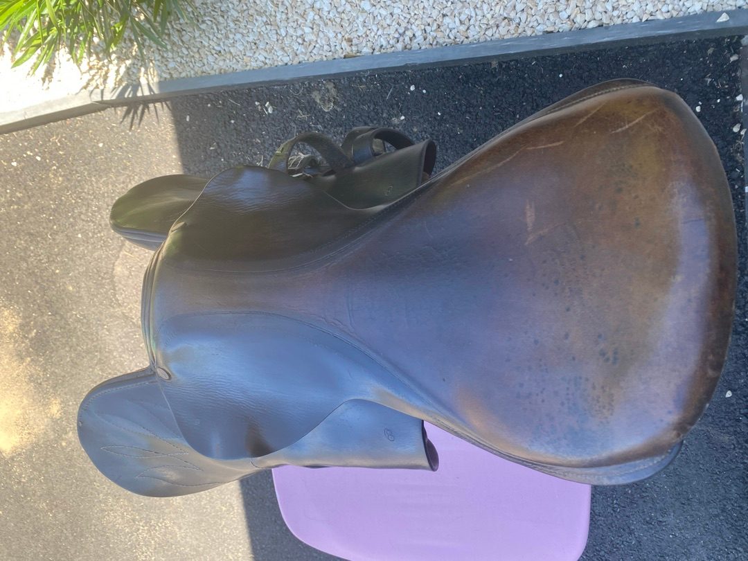 Selle d’entraînement cheval jockey agakhan, média 3