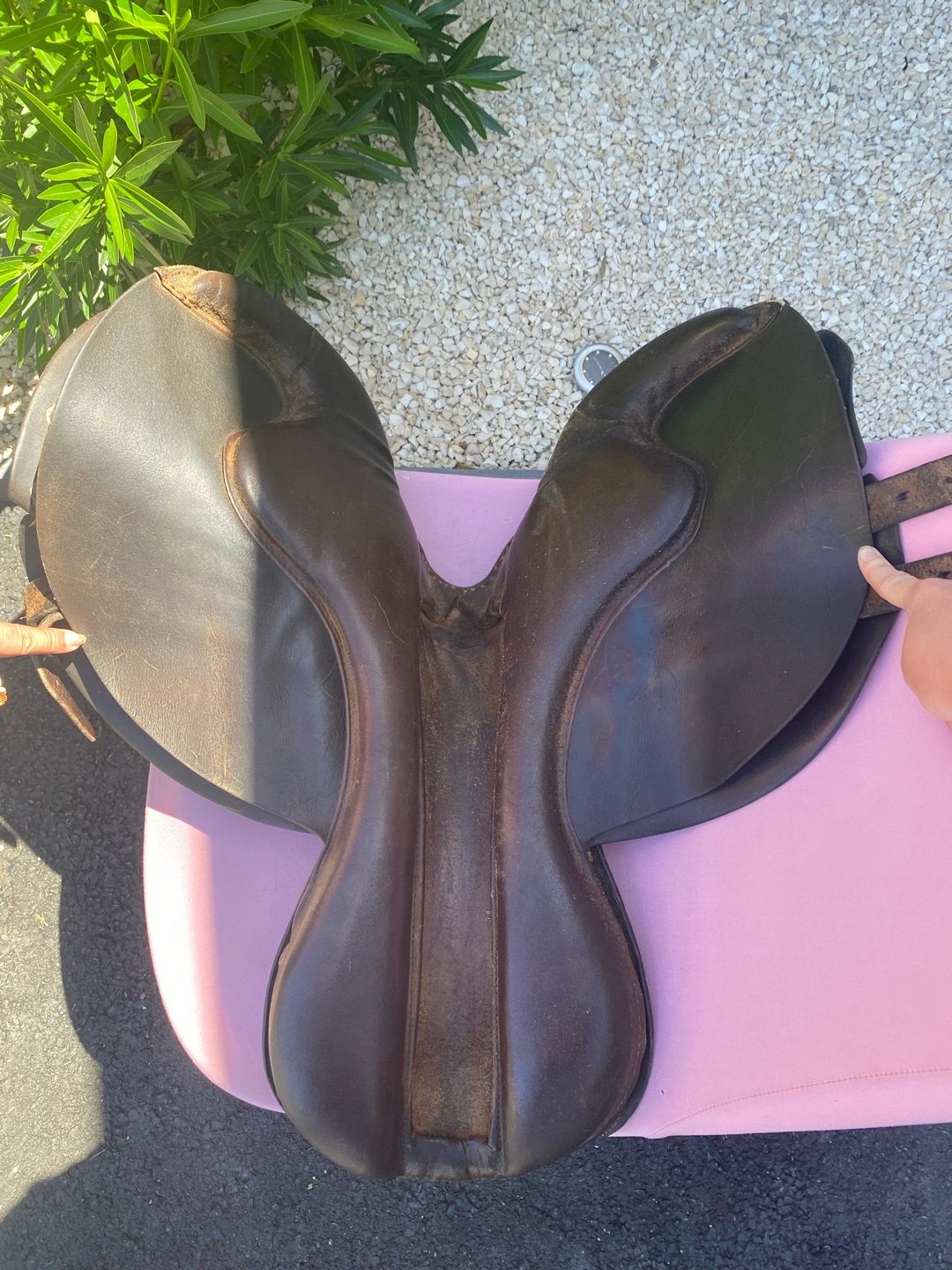 Selle d’entraînement cheval jockey agakhan, média 6