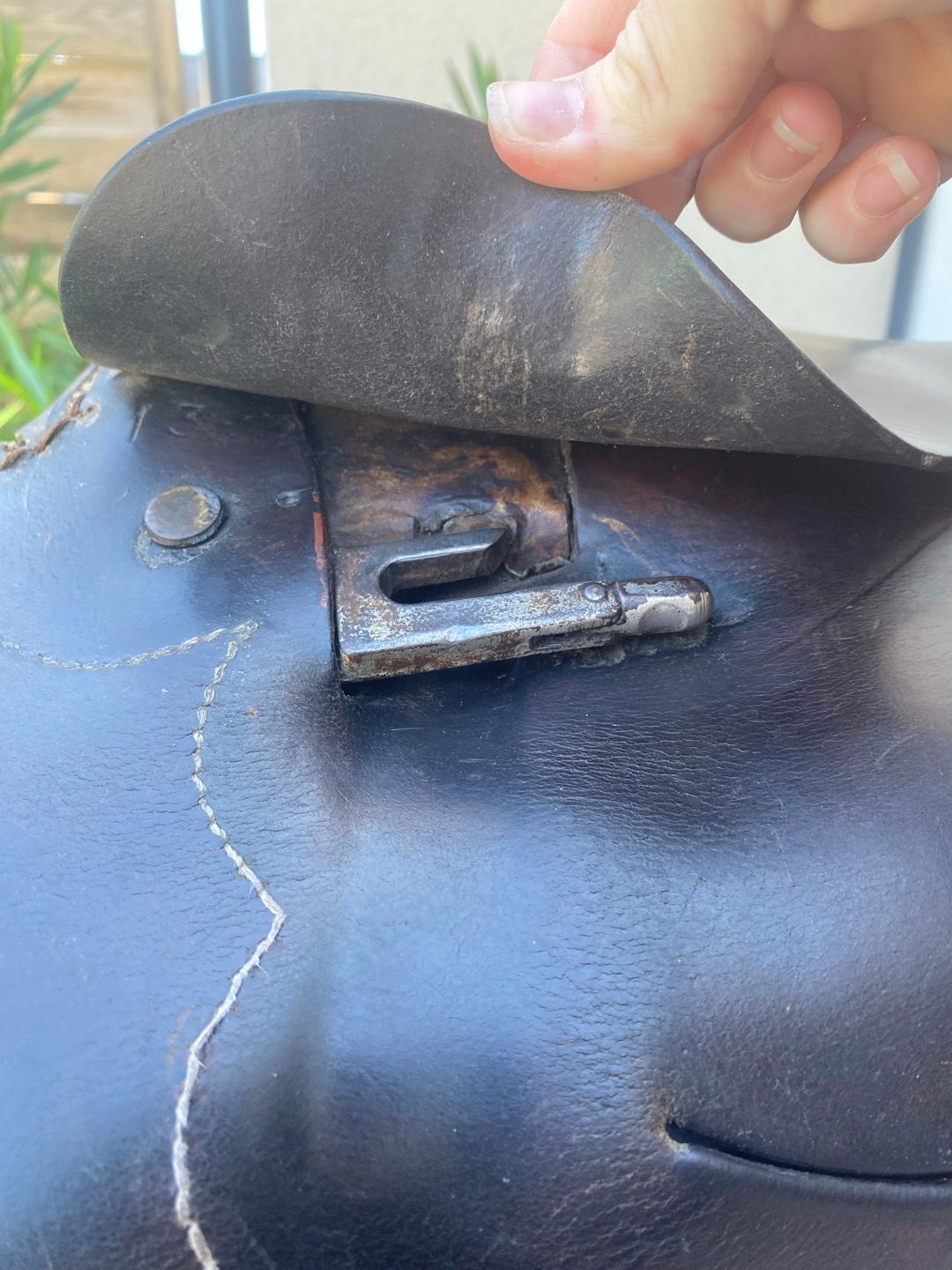 Selle d’entraînement cheval jockey agakhan, média 7