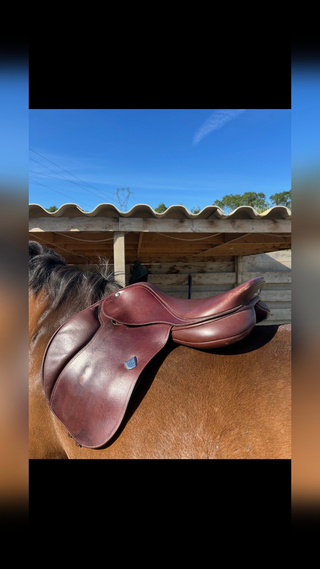 Selle, média 2