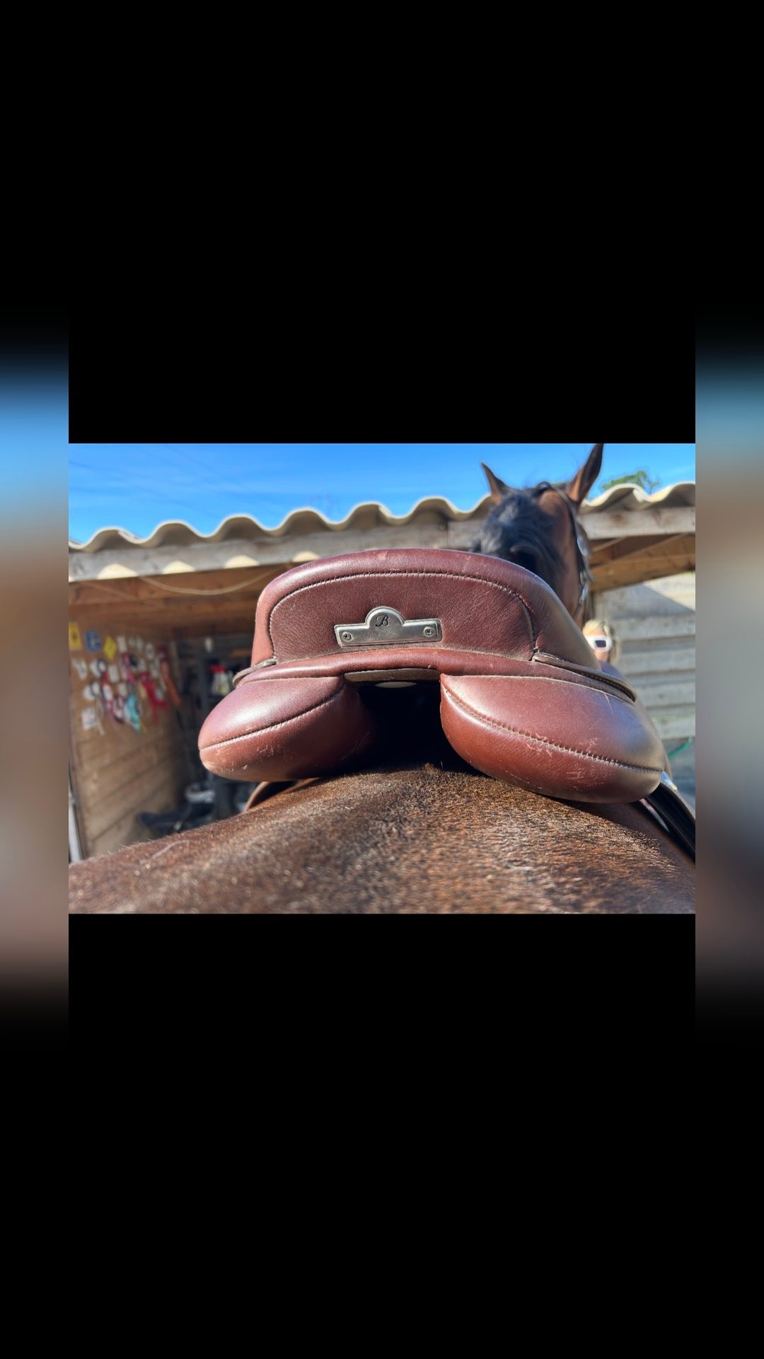 Selle, média 3