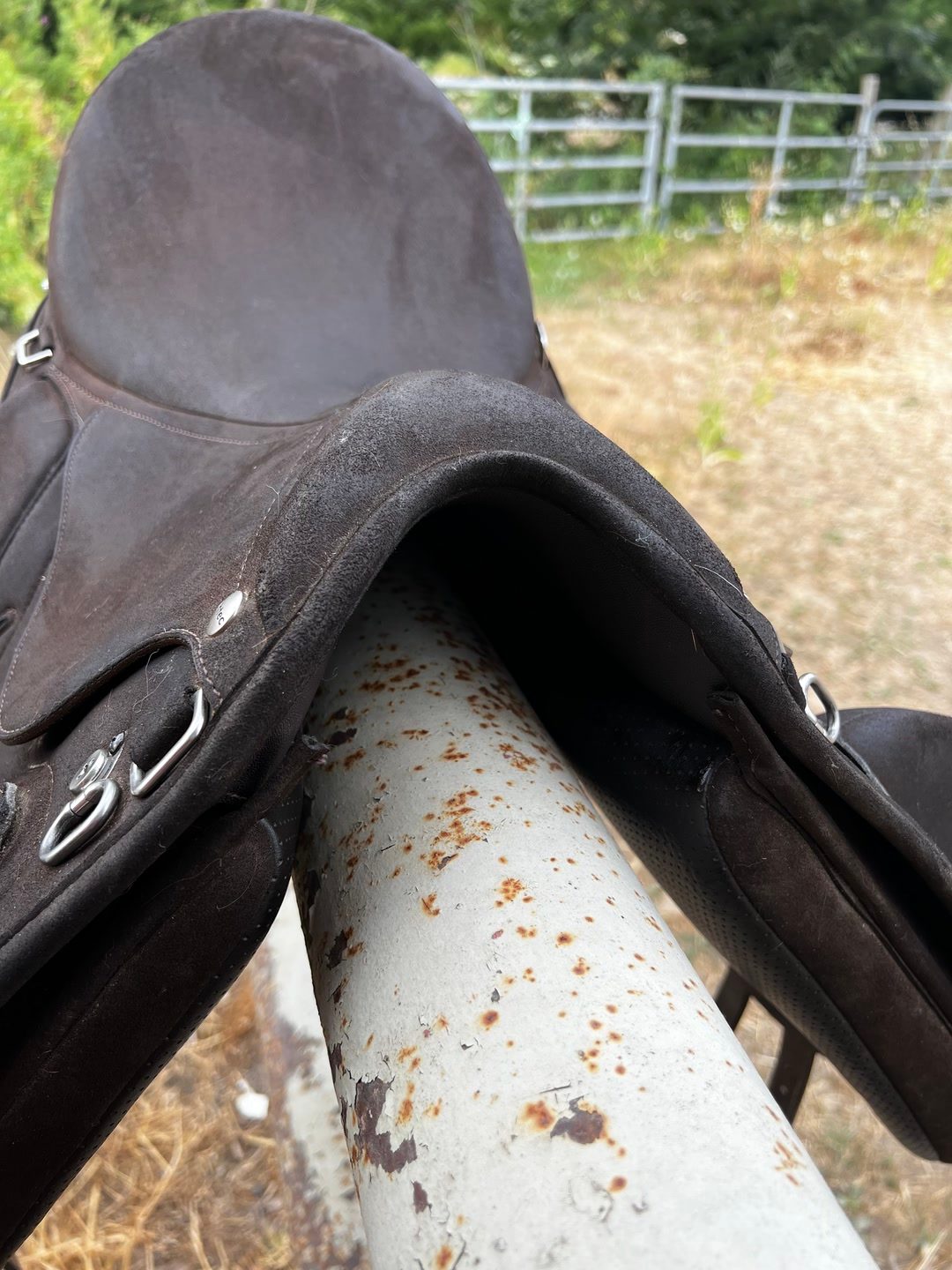Selle Wintec Pro Endurance, média 10