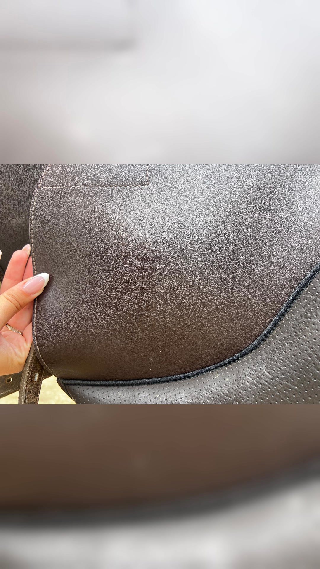 Selle Wintec Pro Endurance, média 6