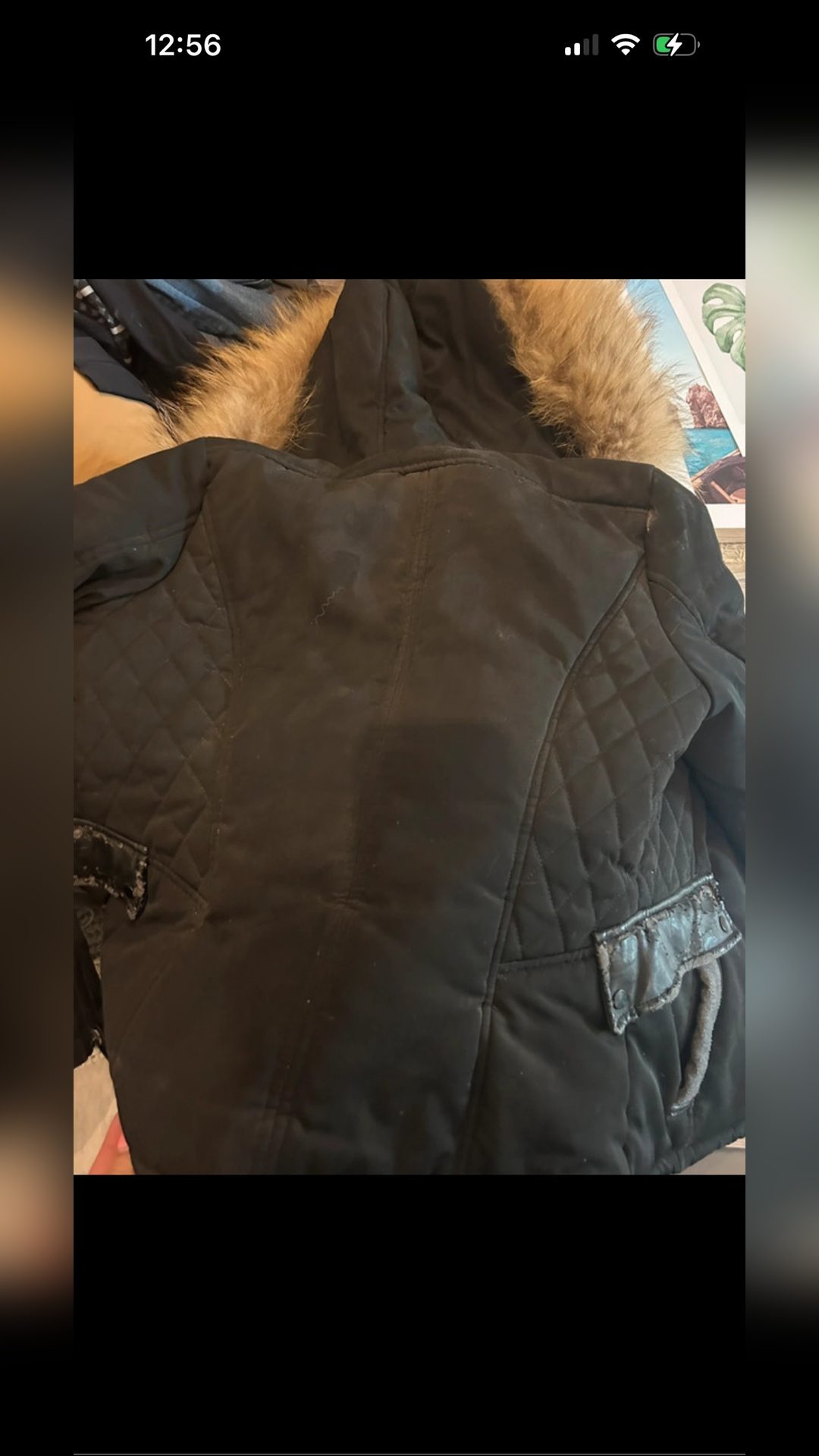 Veste JU & Pa, média 2