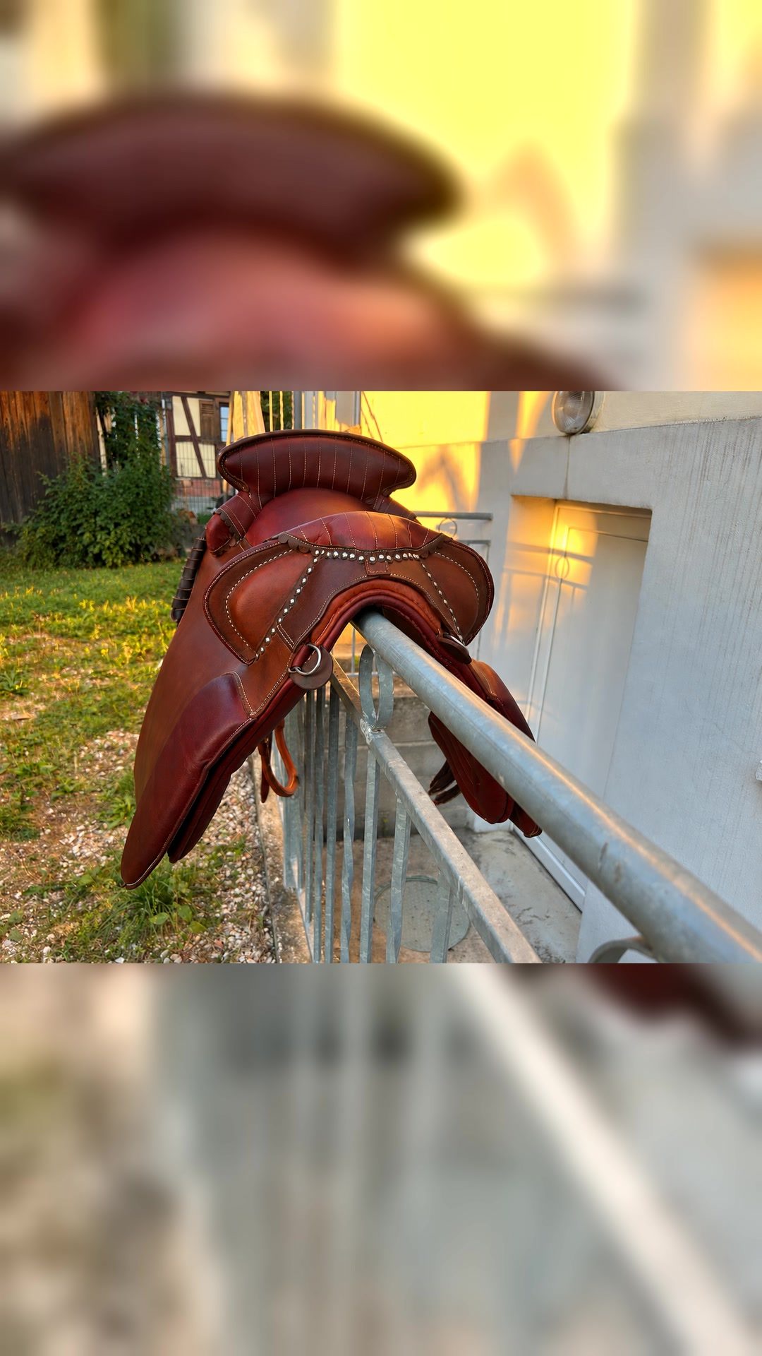 Selle camarguaise, média 2