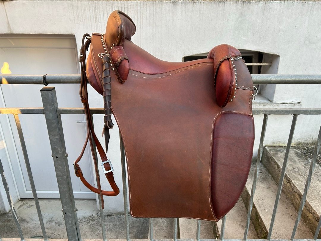 Selle camarguaise, média 4