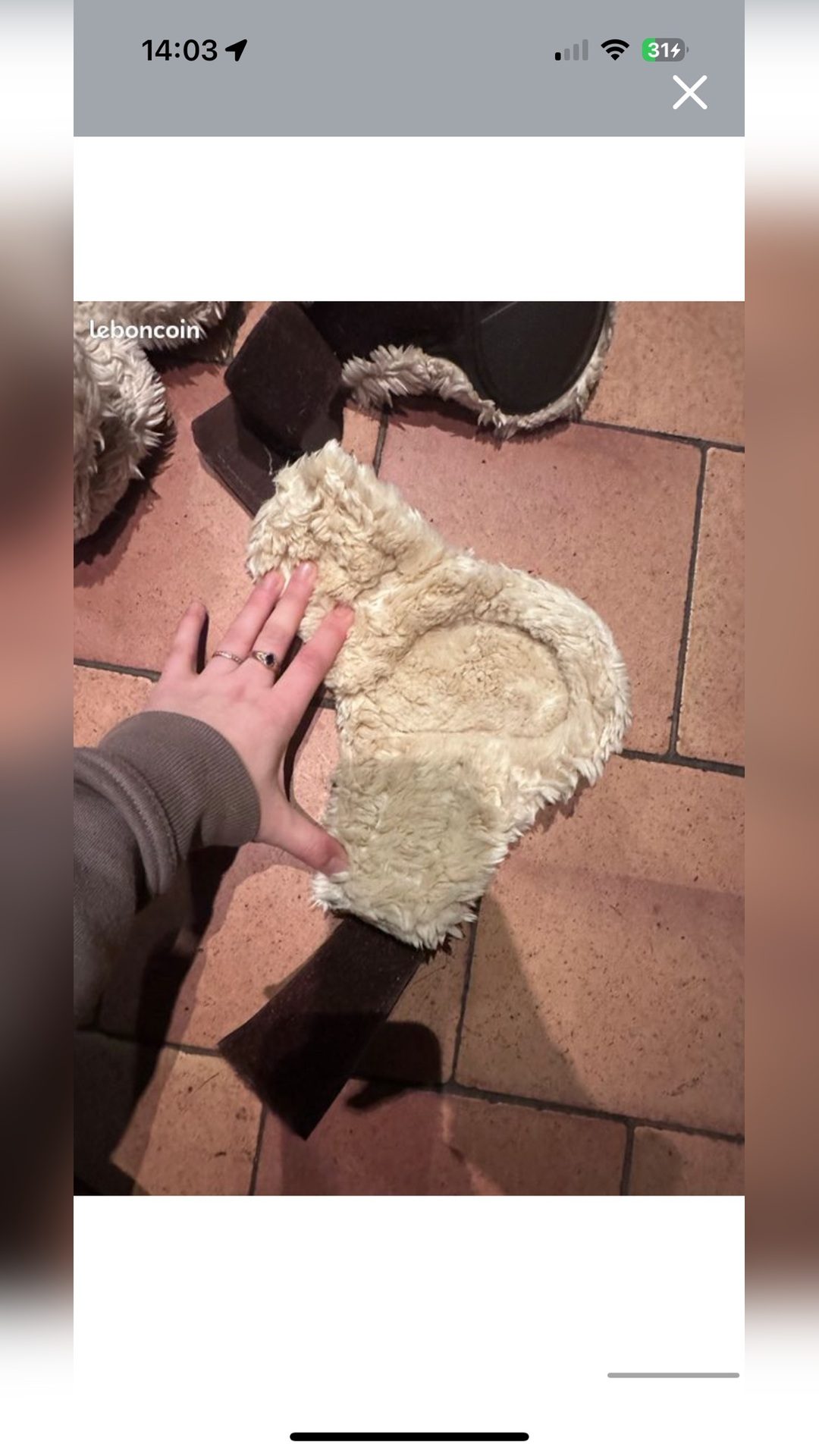 Guêtres et protèges boulets Lamicell - Taille M, média 5