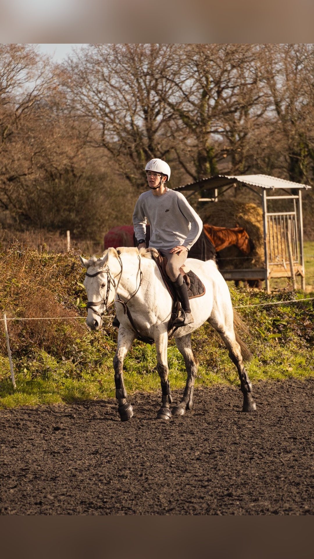 HABIGRI, média 5