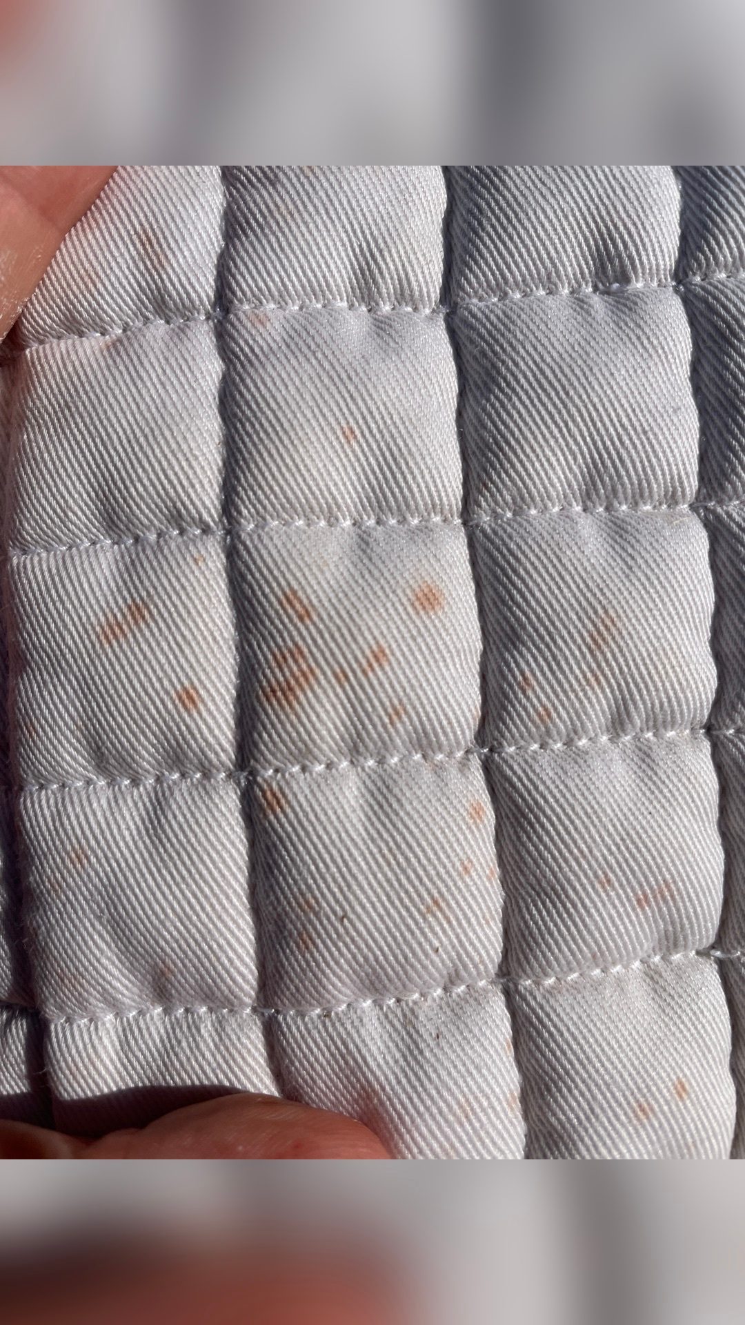 Tapis blanc, média 4