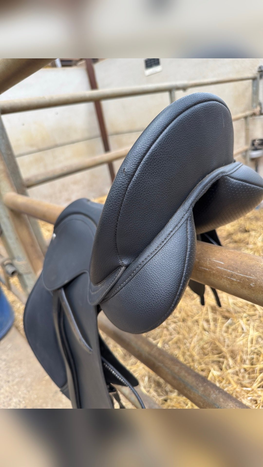 Selle Wintec 250, média 3