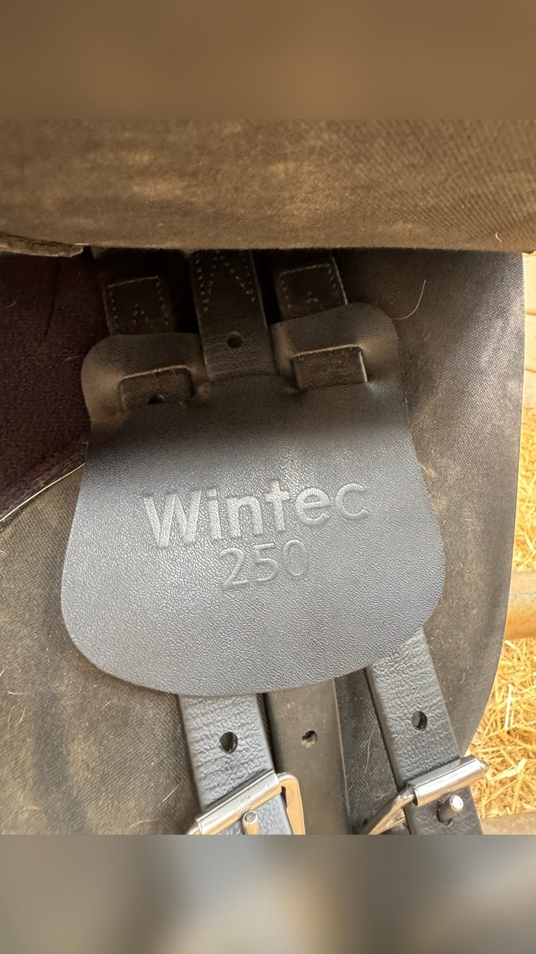 Selle Wintec 250, média 4
