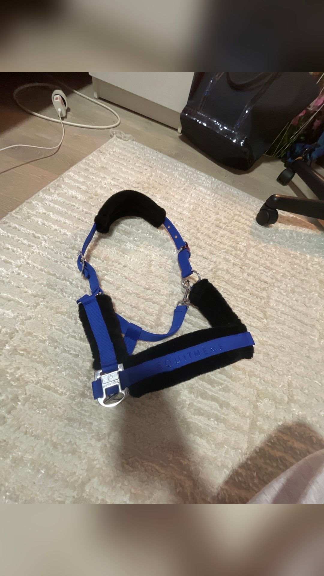 Licol bleu Equithème, média 2