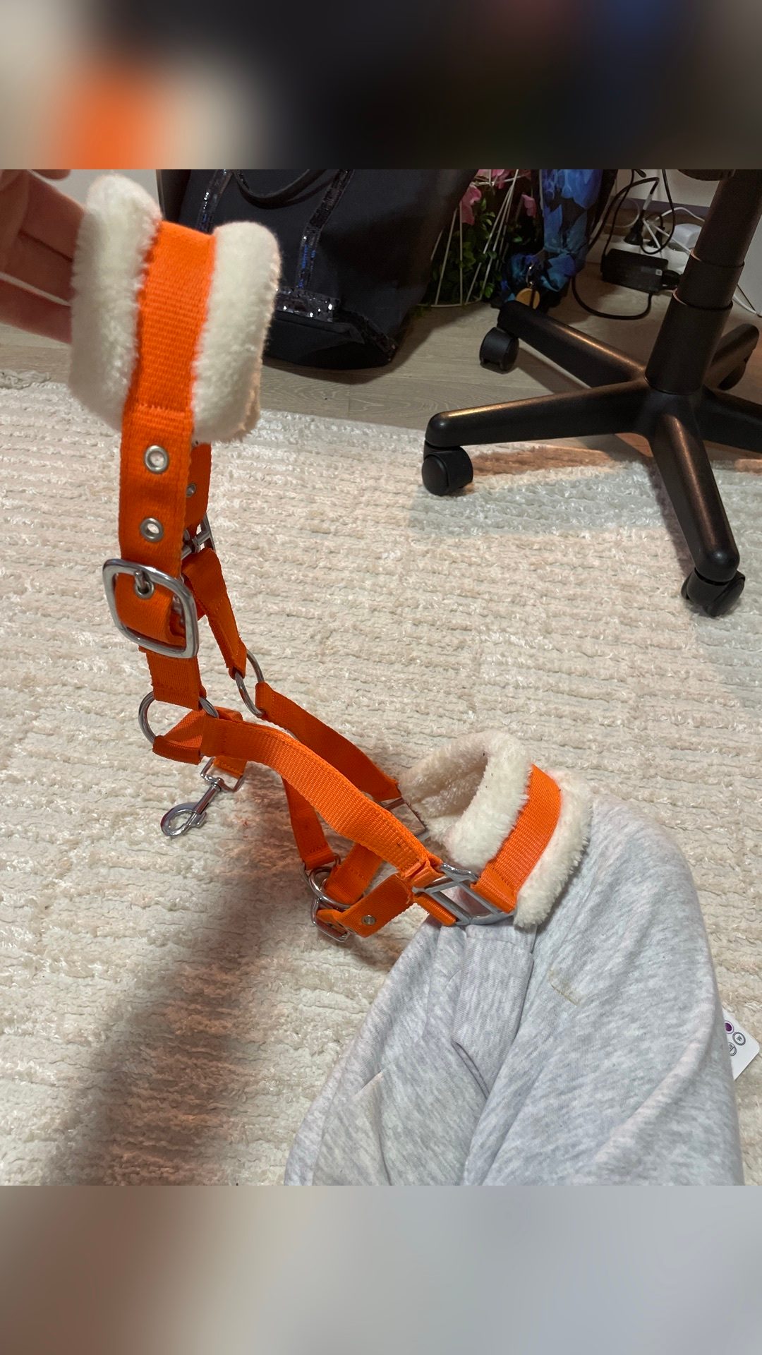 Licol orange taille poney, média 2