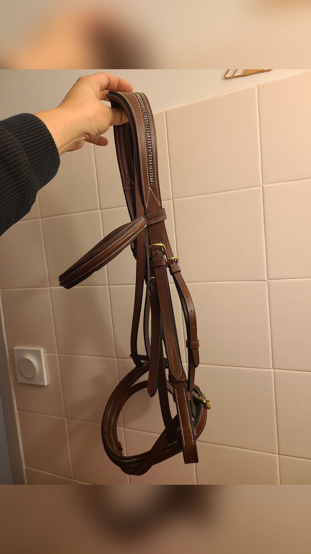 Filet Marron à strass cheval avec rênes antidérapantes, média 3