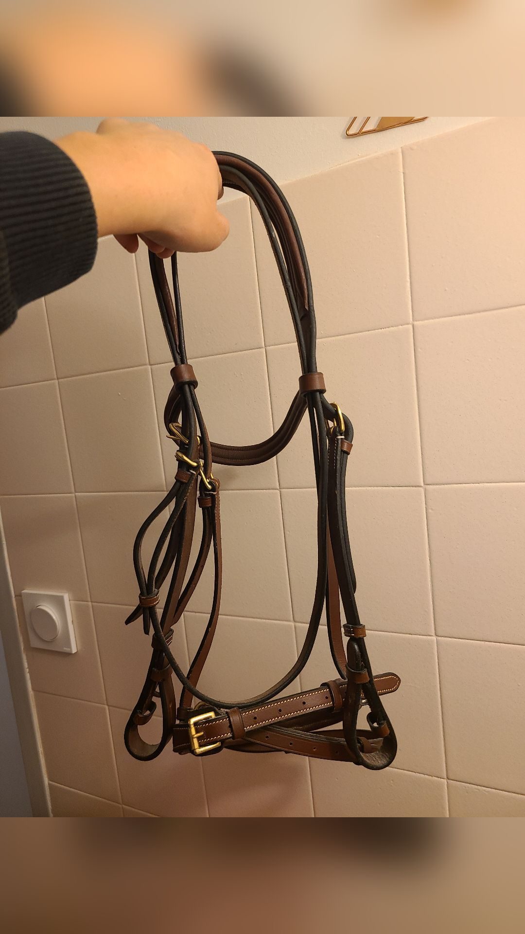 Filet Marron à strass cheval avec rênes antidérapantes, média 4