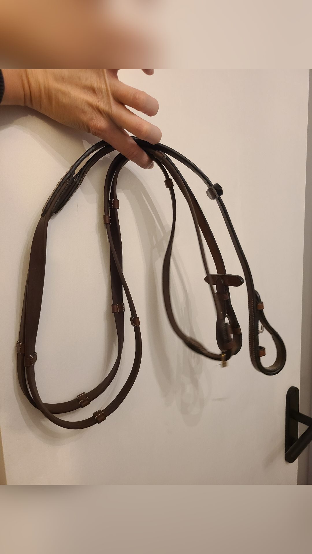 Filet Marron à strass cheval avec rênes antidérapantes, média 6