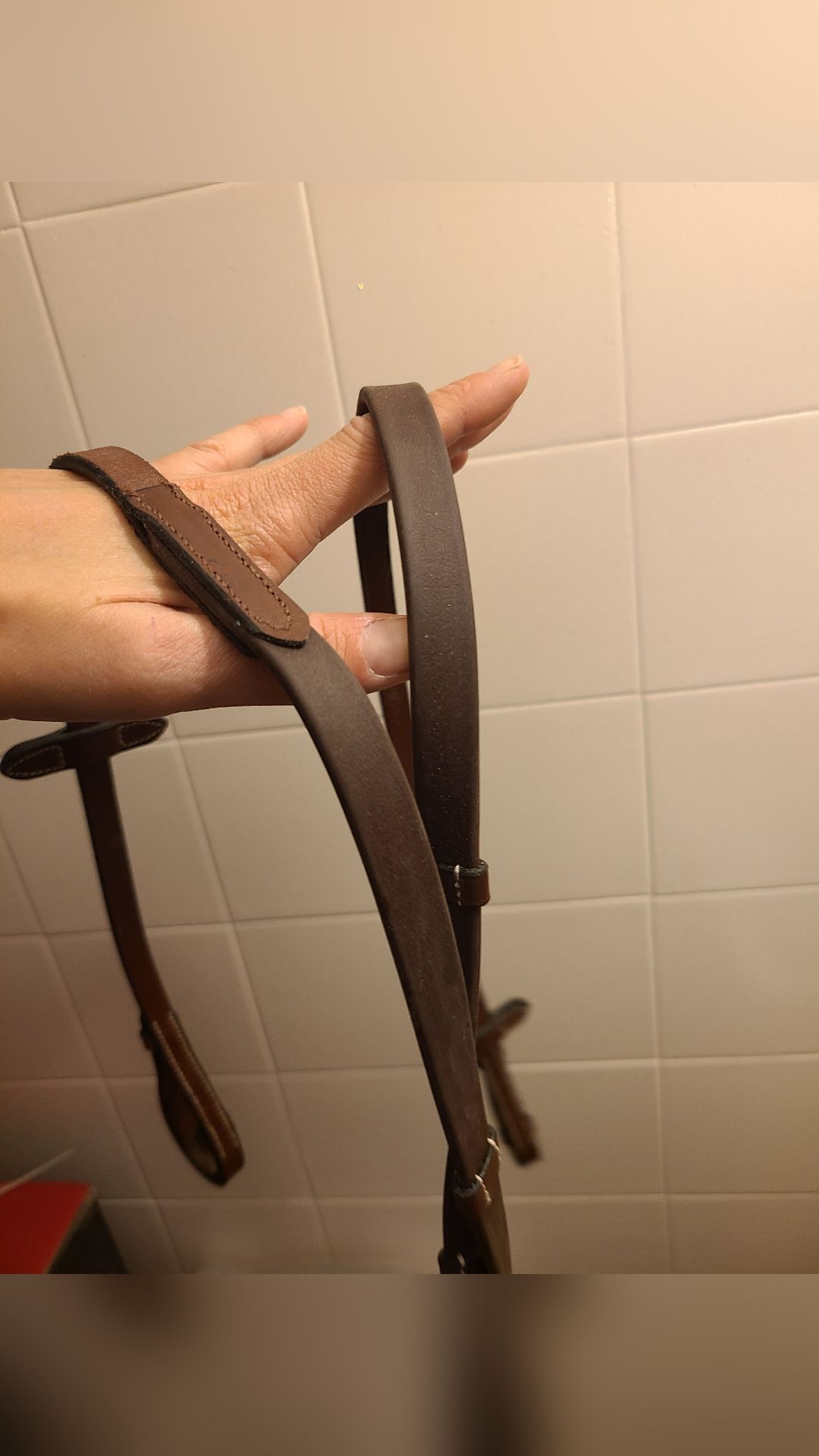 Filet Marron à strass cheval avec rênes antidérapantes, média 8