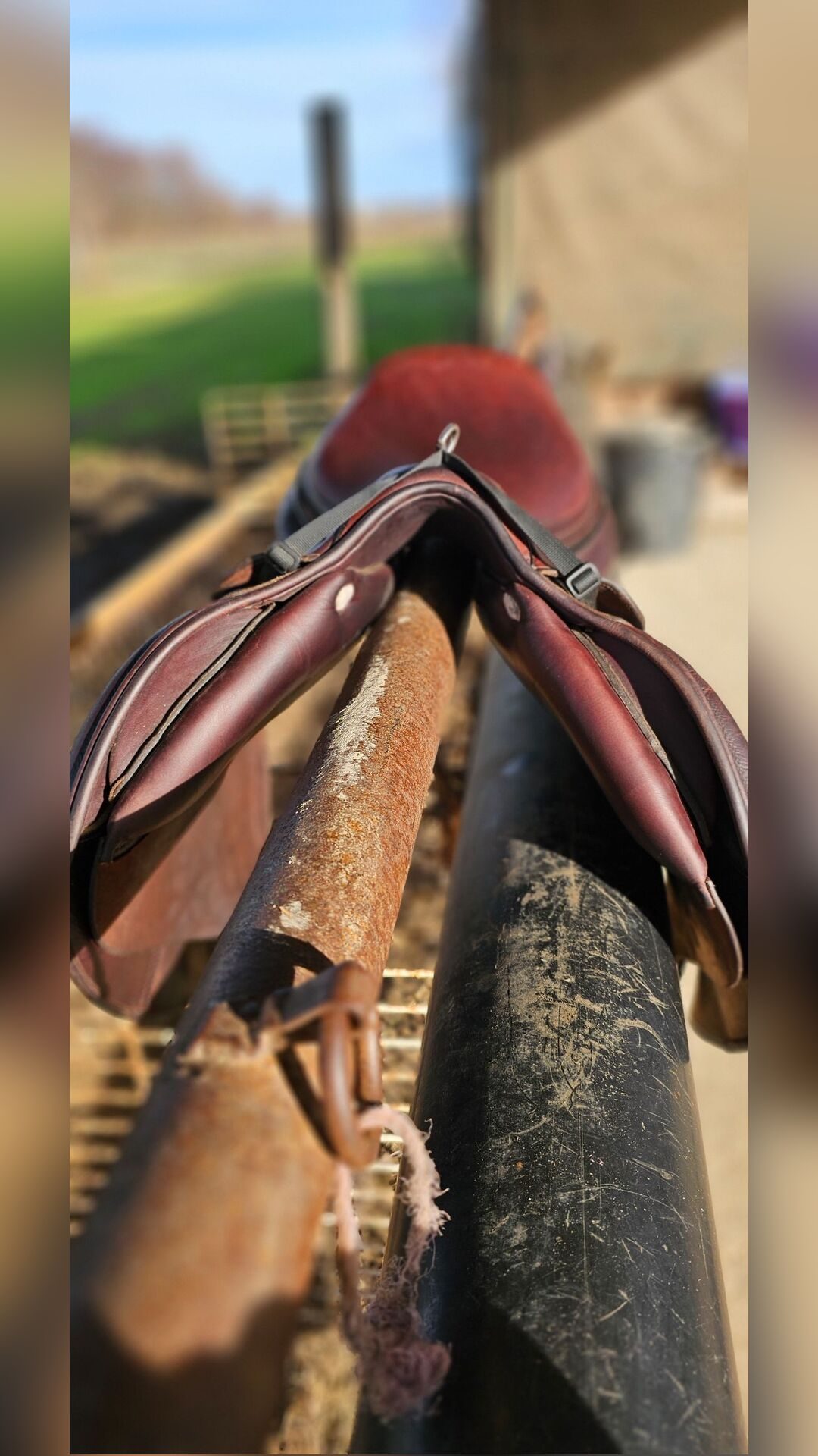 Selle GBS 17,5, média 4