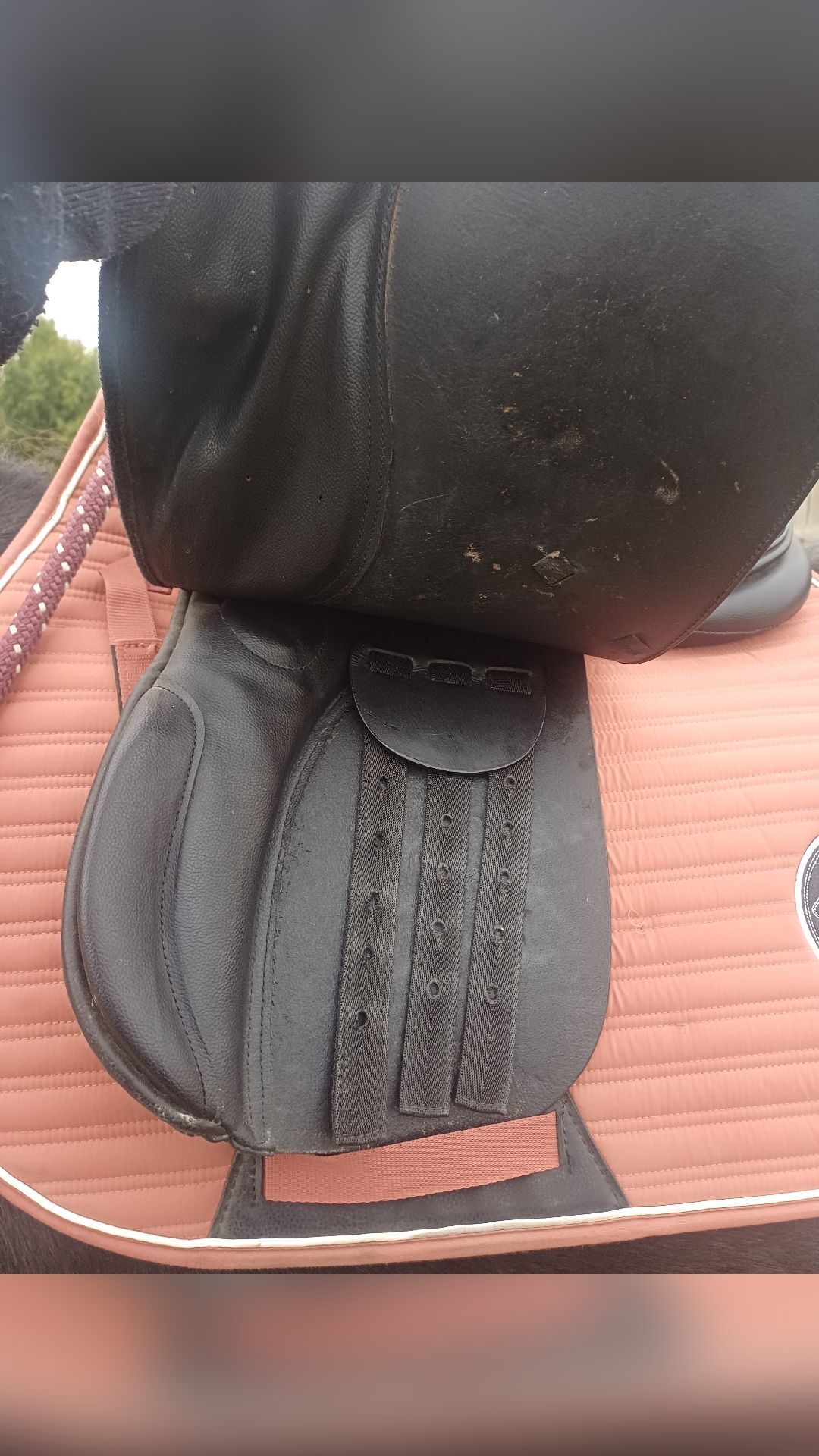 Selle noire 17,5 p, média 2