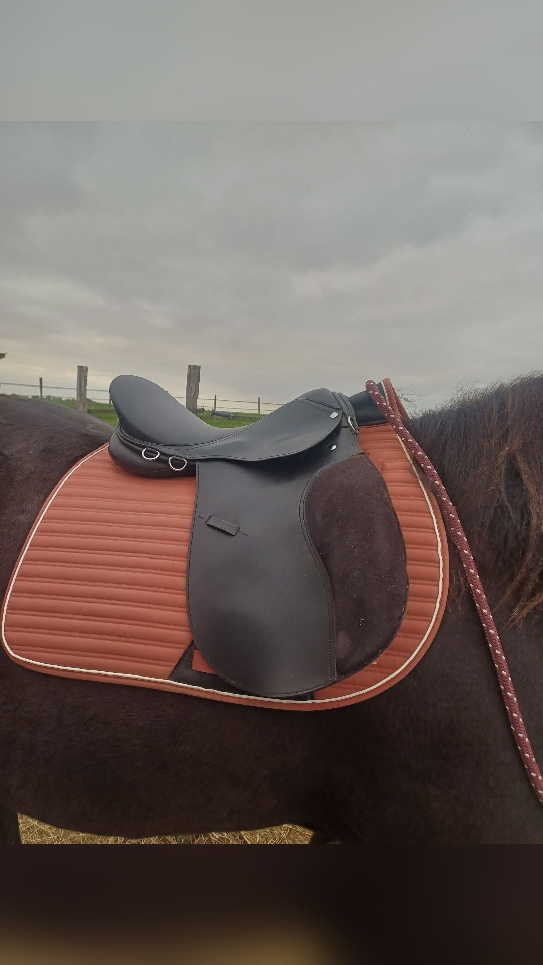 Selle noire 17,5 p, média 3