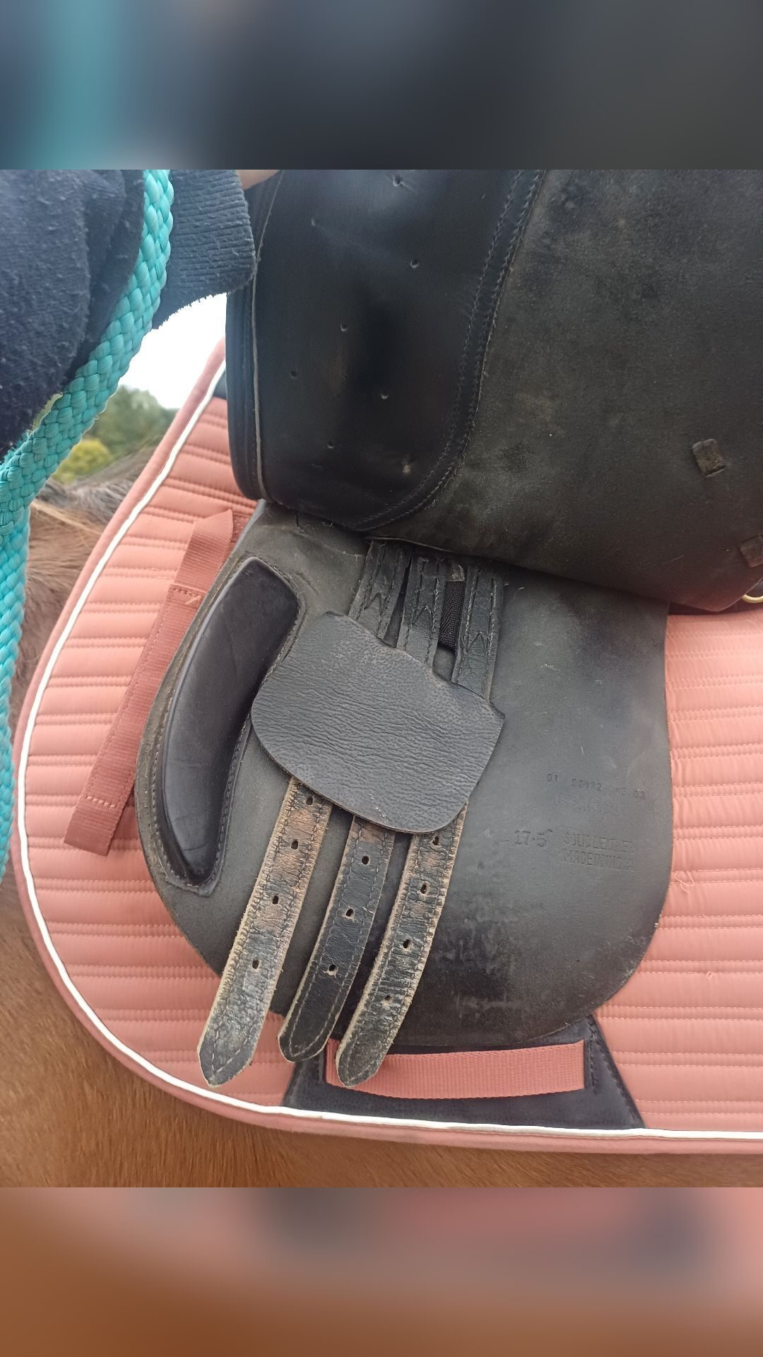 Selle noir, média 3