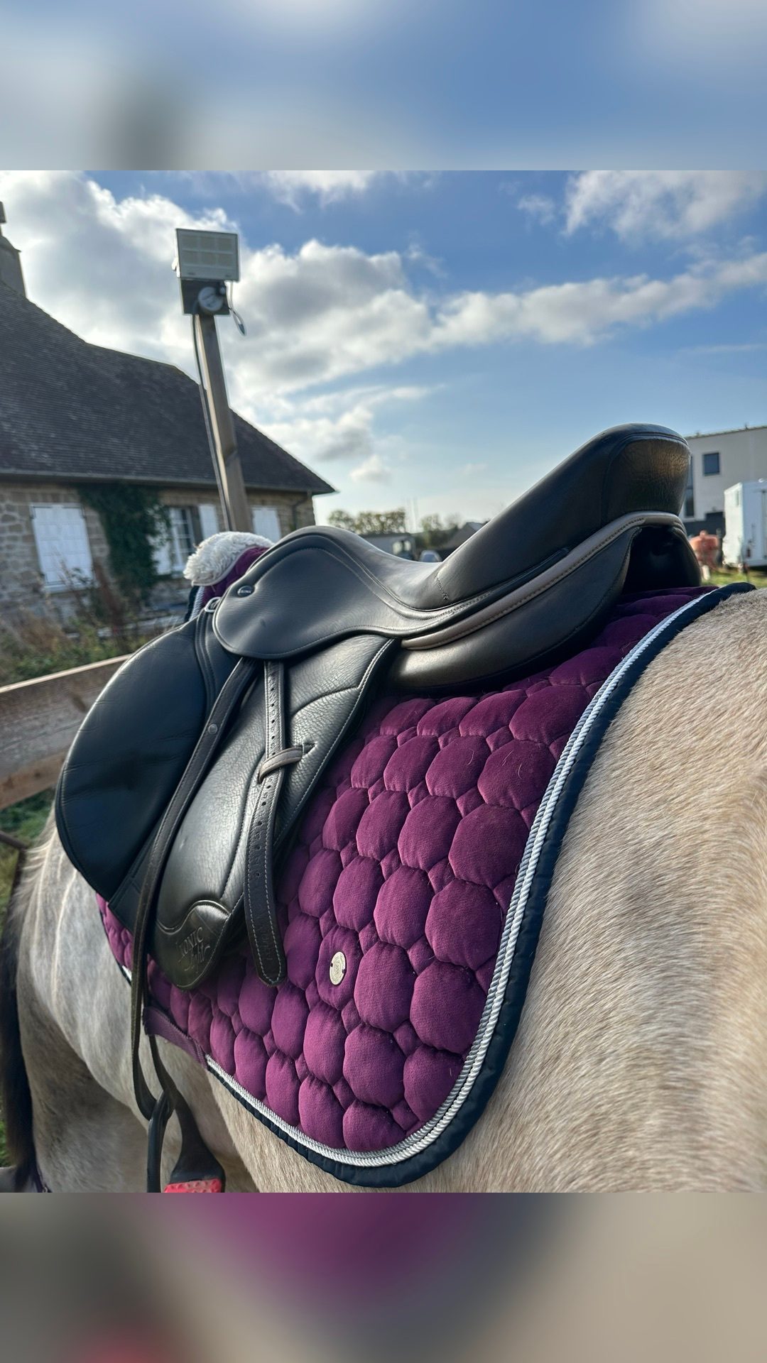 Selle Ikonic light 17’, média 3