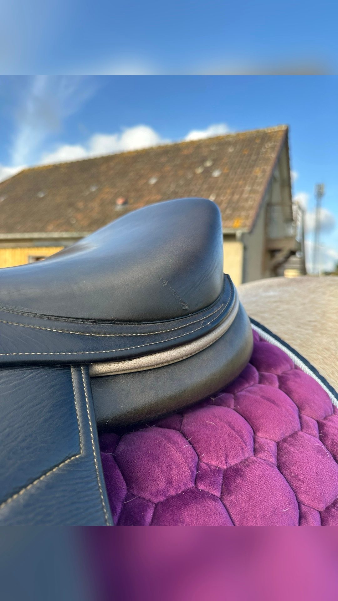 Selle Ikonic light 17’, média 4
