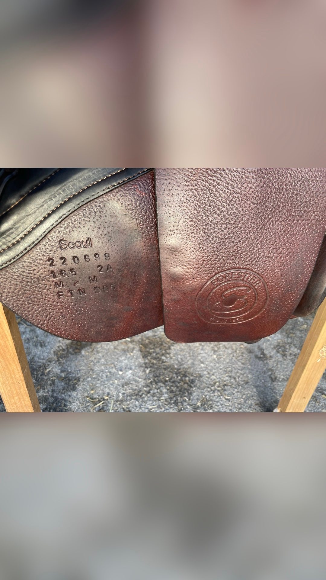 Selle Forestier SEOUL 16,5  de 2022, média 2