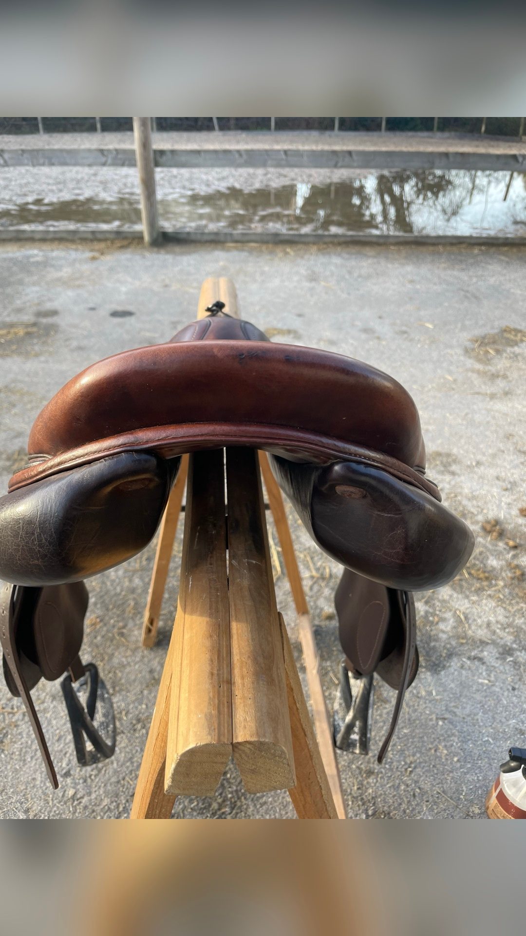 Selle Forestier SEOUL 16,5  de 2022, média 5