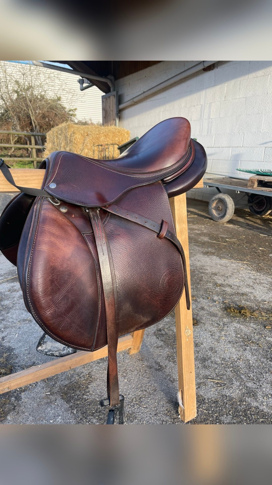 Selle Forestier SEOUL 16,5  de 2022, média 8