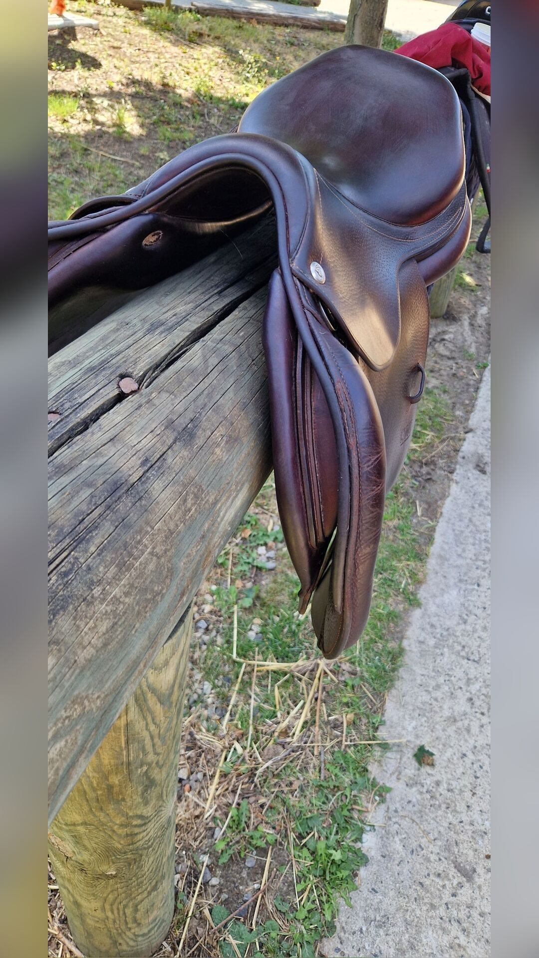 Selle CWD 16,5" SE03, média 3