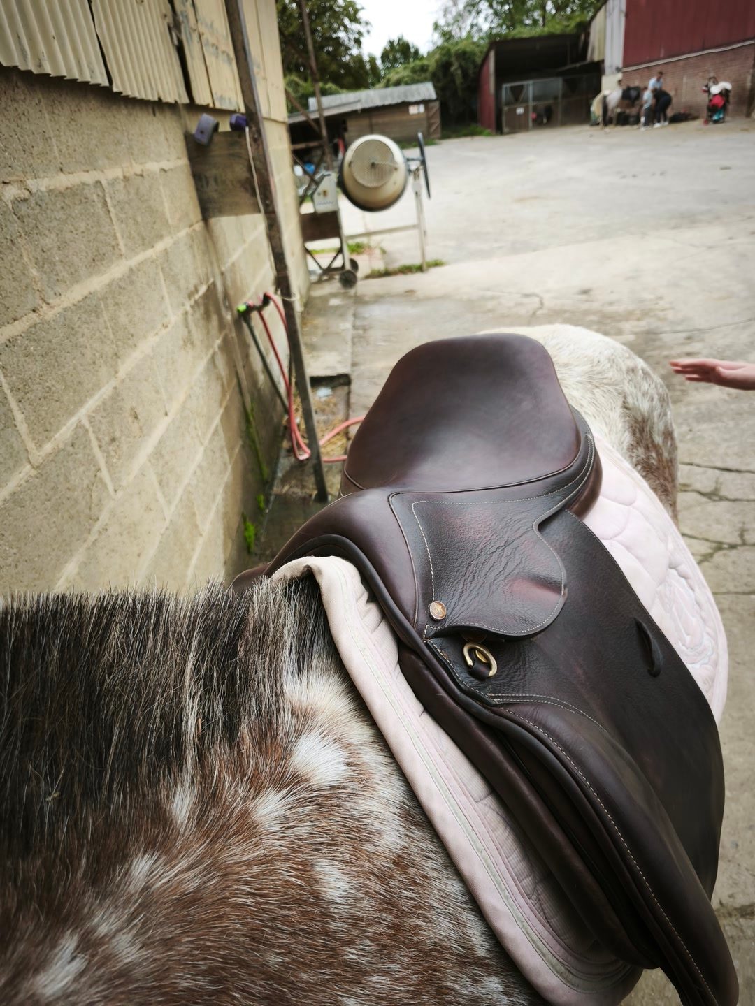 Selle d'équitation Éric Thomas, média 2