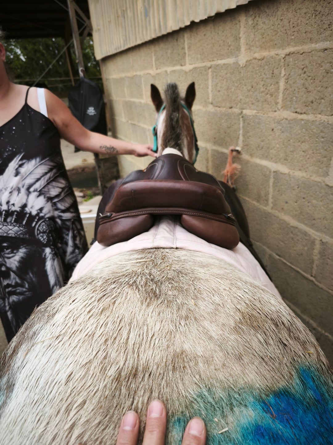 Selle d'équitation Éric Thomas, média 4