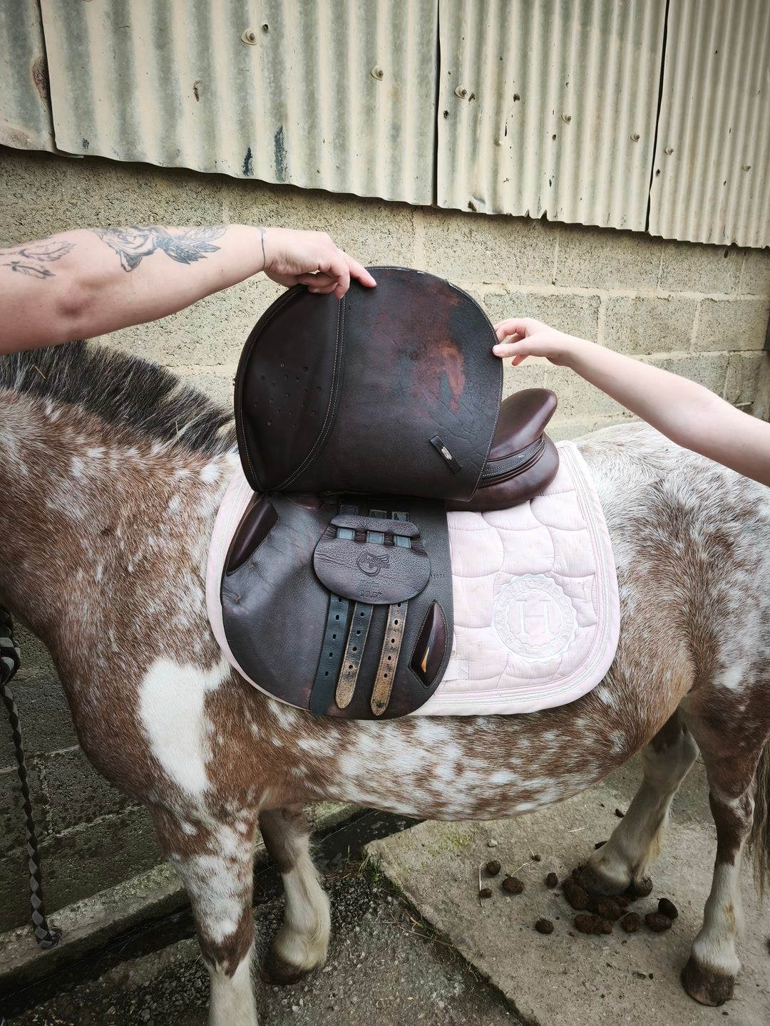 Selle d'équitation Éric Thomas, média 3