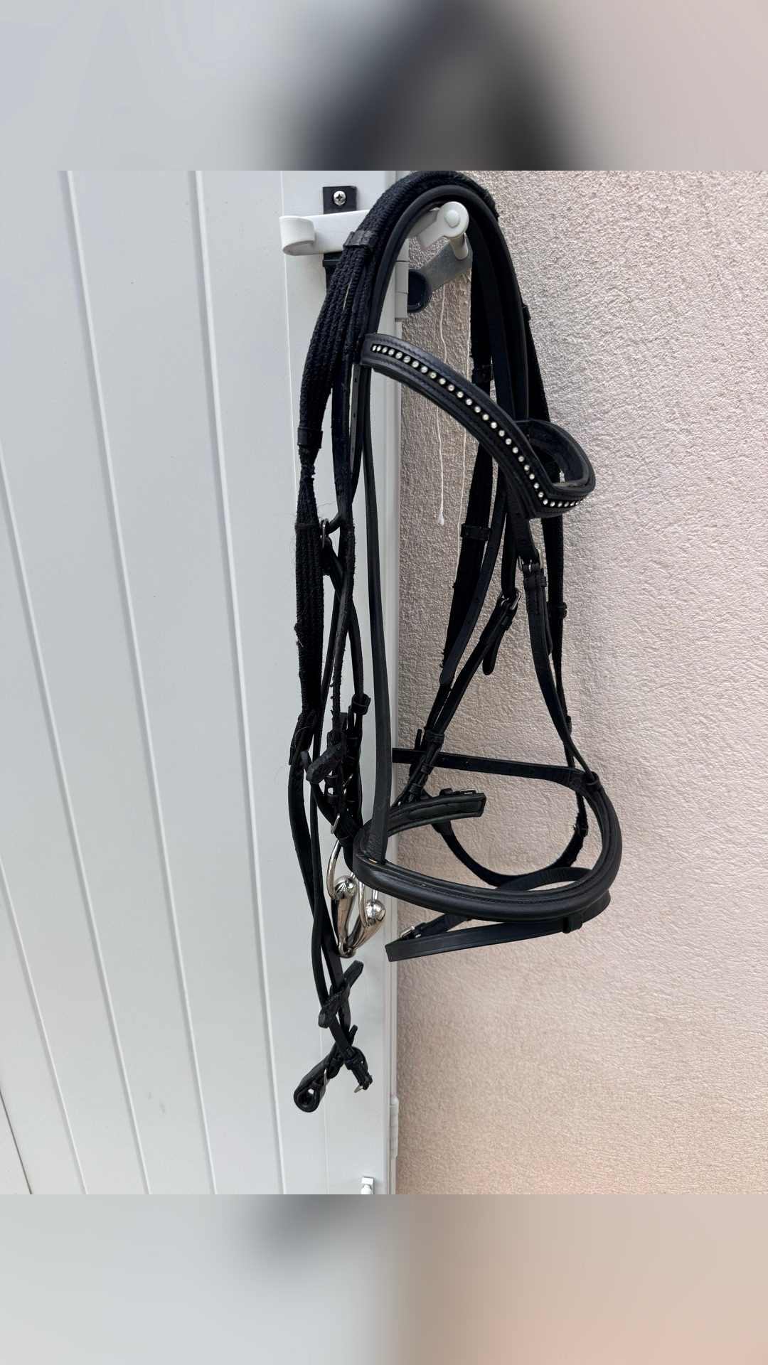 Filet taille poney, média 2