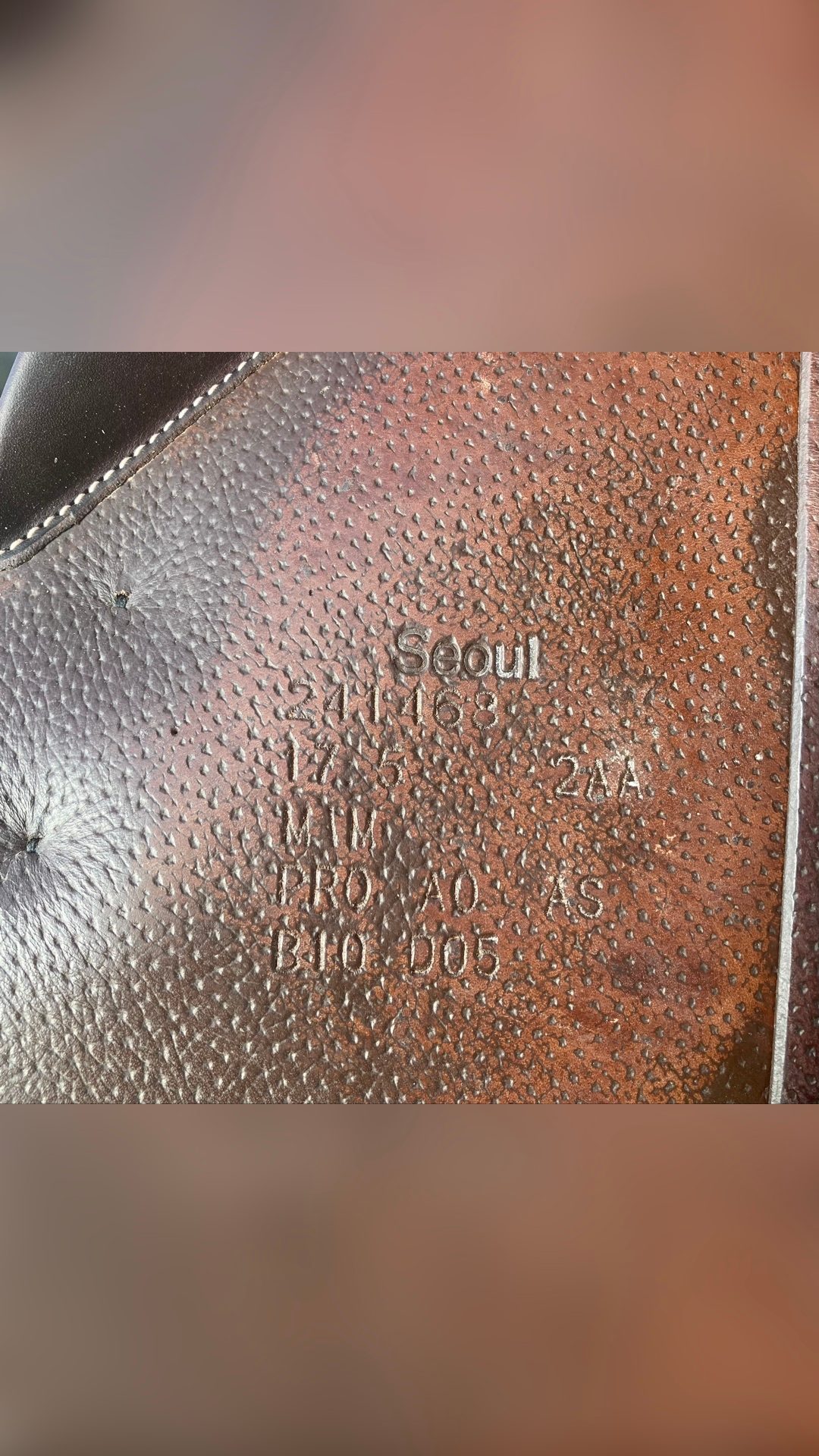 Selle Forestier Seoul 17.5 2AA 2024, média 3