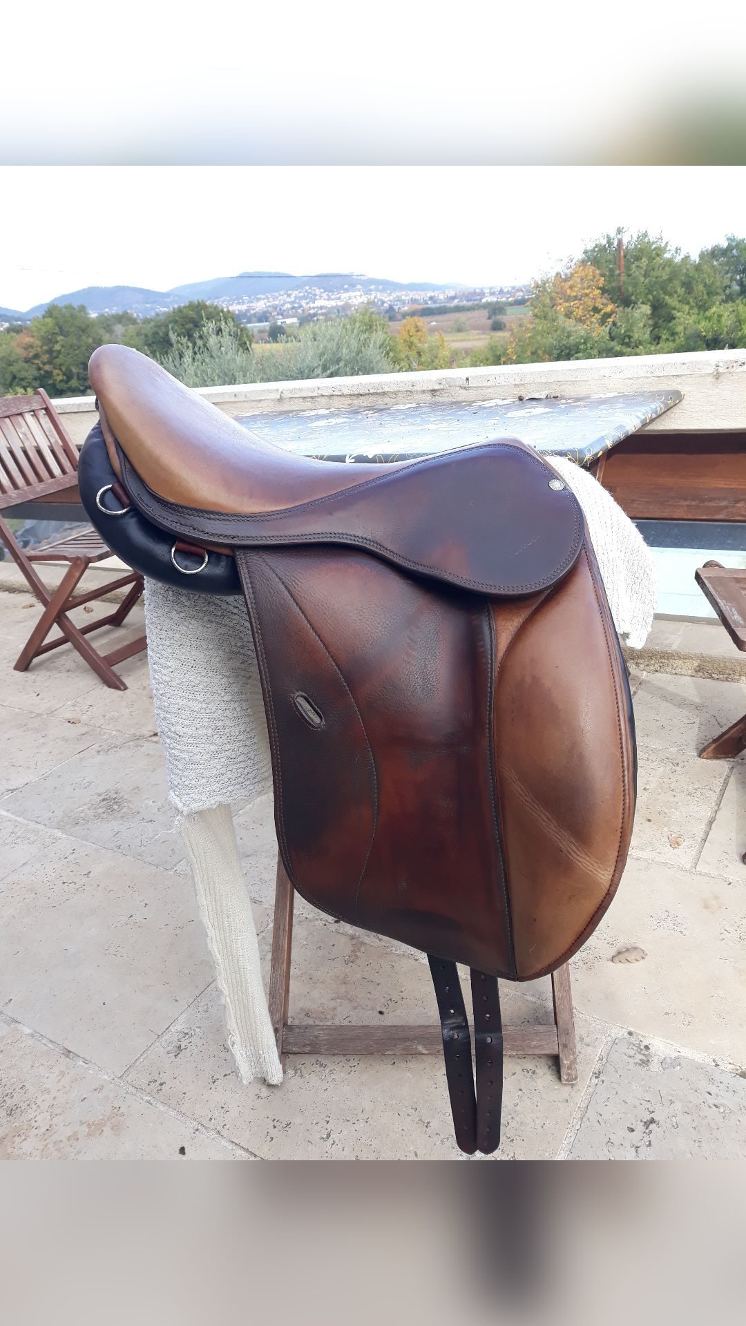 Selle forestier, média 2