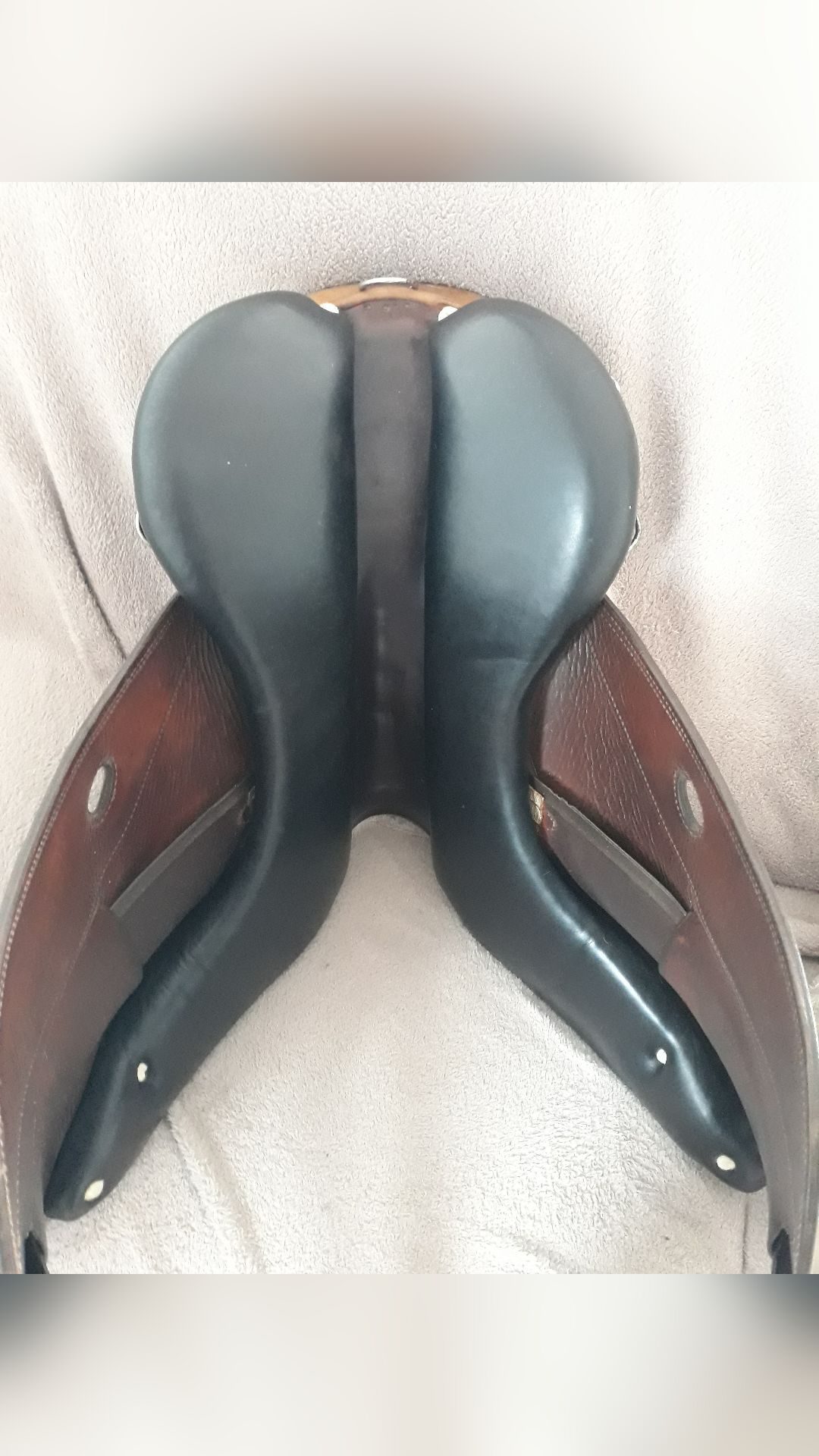 Selle forestier, média 4