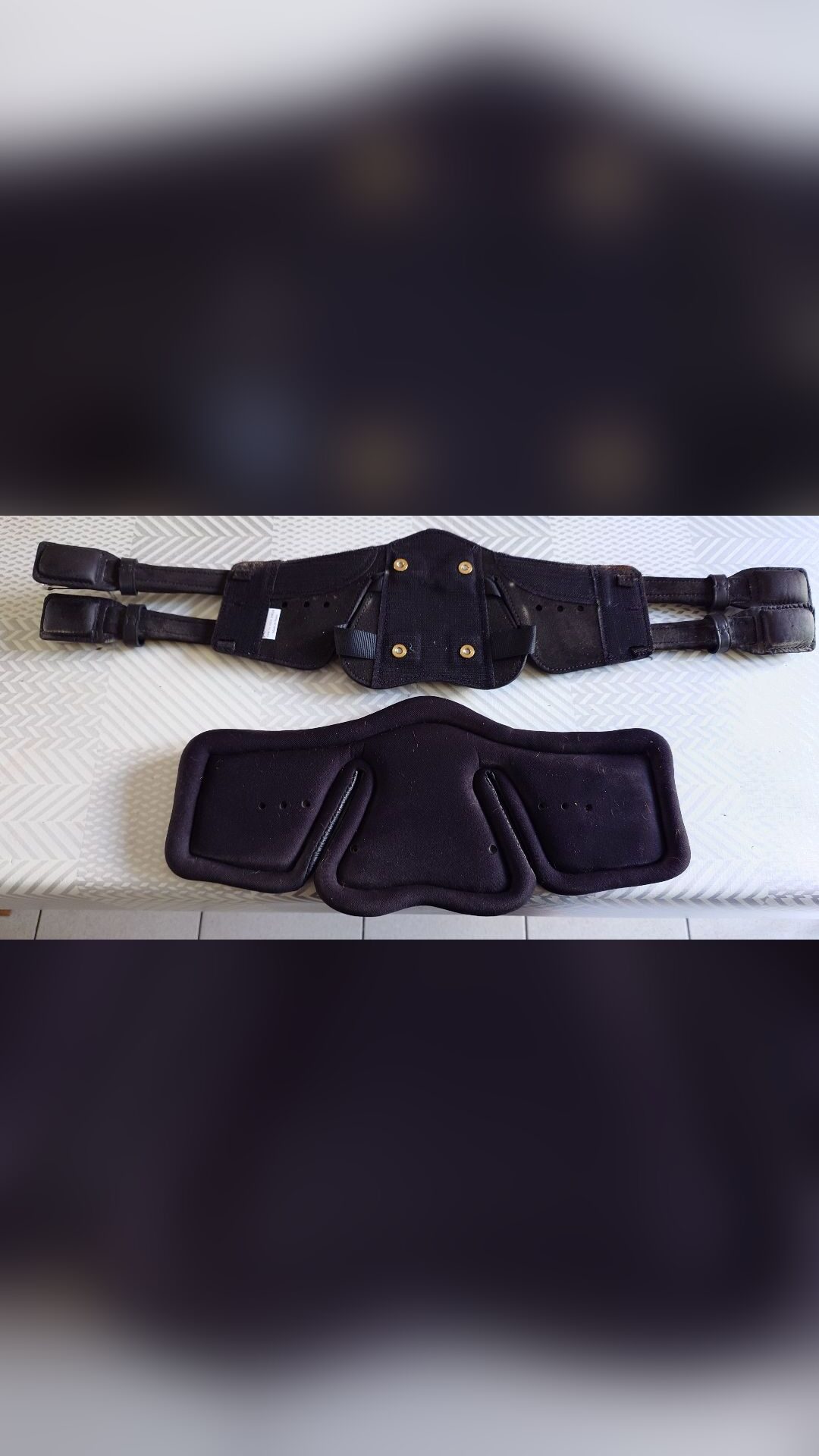 Sangle courte dressage Stubben 70 cm neuve., média 2