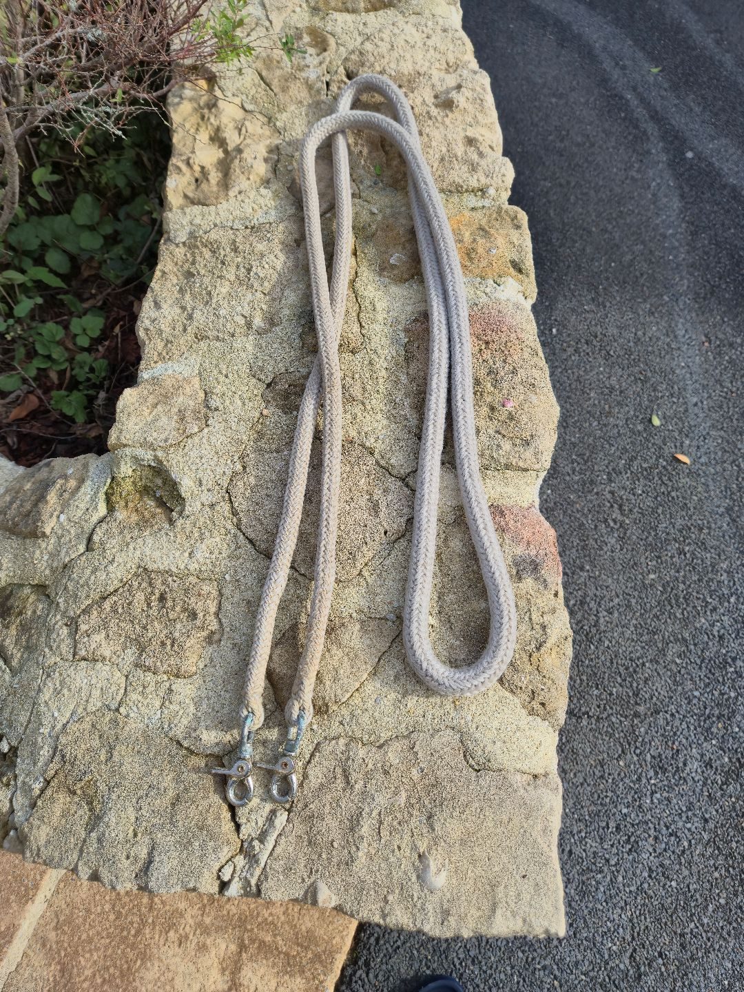 Lot : rênes rando, média 2