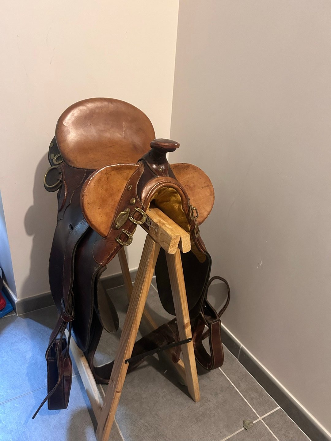 Selle Western Australienne, média 2