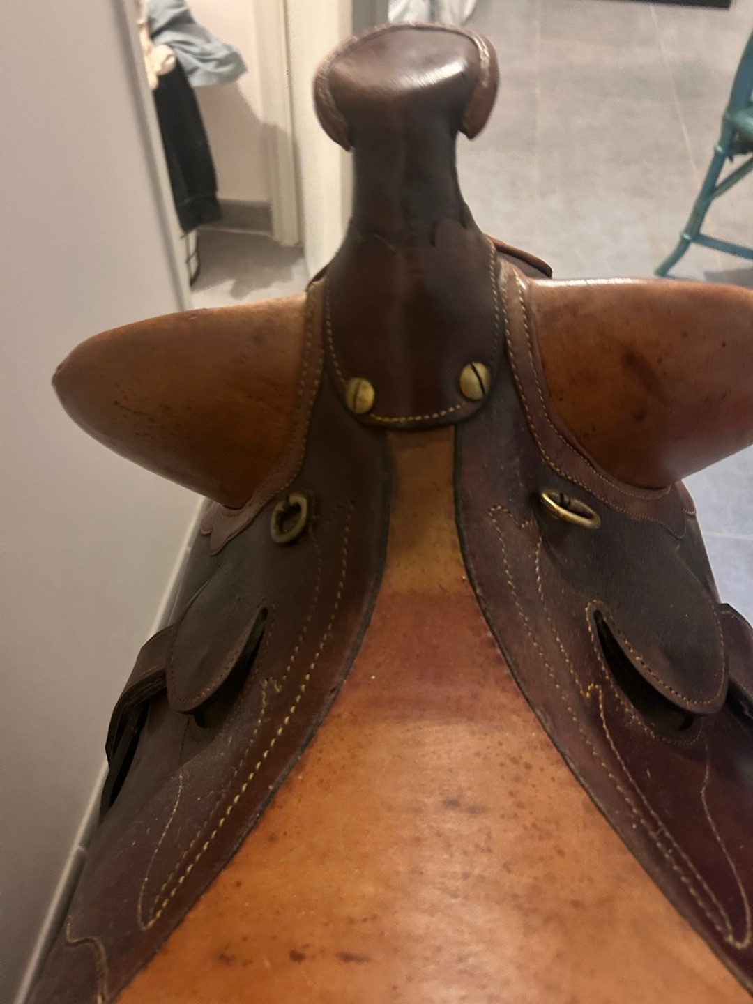 Selle Western Australienne, média 8