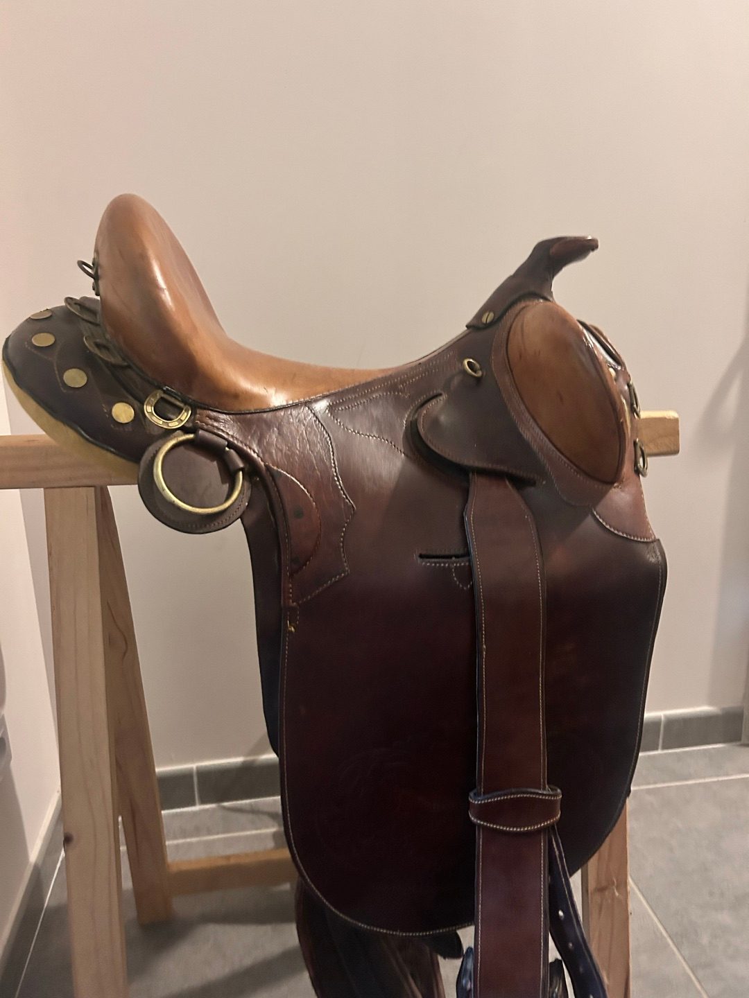 Selle Western Australienne, média 3
