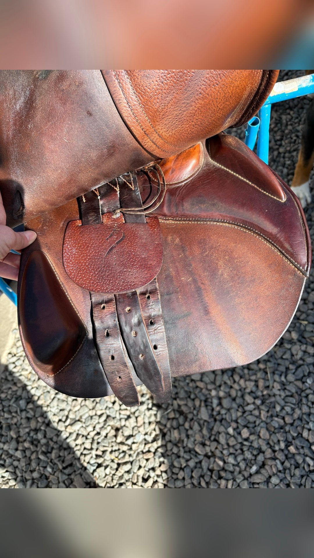 Selle Antarès, média 2