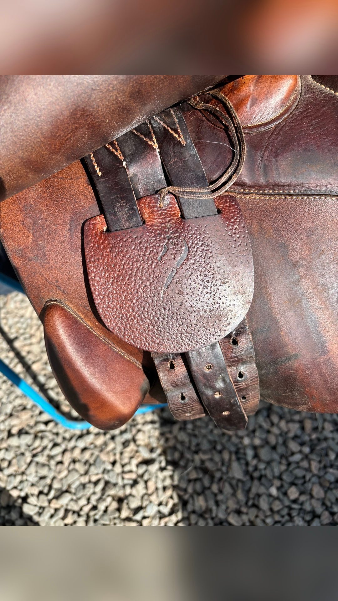 Selle Antarès, média 3